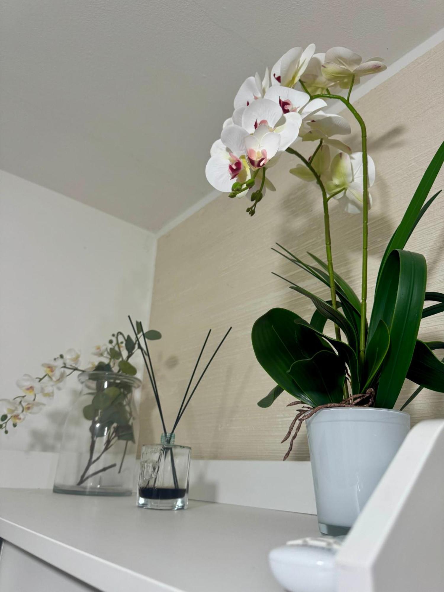 Casa Alessio - Elegante Appartamento Nel Cuore Di Cesano Maderno Eksteriør billede